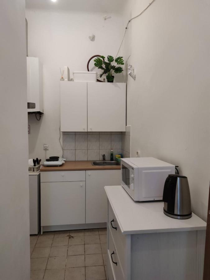 Room With Privat Shower In 3 Rooms Apartment Vienna Esterno foto